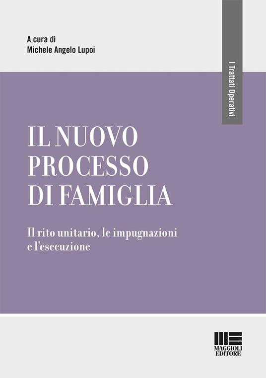 Il nuovo processo di famiglia